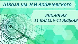 Биология 11 класс 9-11 неделя Гипотезы происхождения жизни на Земле