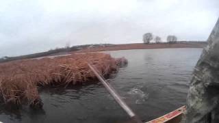 Снимаем сети на коропа ячея 90, 200 метров, Флюорокарбон fishing with nets.