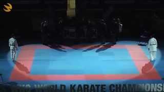World KARATE WKC Championships 2011. Final. Female kumite IPPON