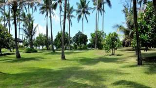 Шри-Ланка, Gampaha District, Хендала - Palm Village Hotel 3 Star