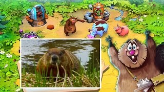 ► Мультики для маленьких животные Веселая ферма [#4]