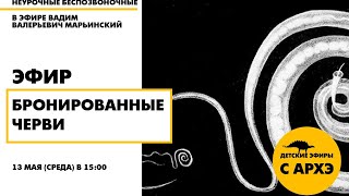 Детский эфир «Бронированные черви» в рамках рубрики «Неурочные беспозвоночные» с Вадимом Марьинским