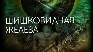 ВРАТА В ЗВЁЗДНЫЕ МИРЫ // или тайна одной маленькой ...