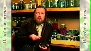 Можжевельник обыкновенный
