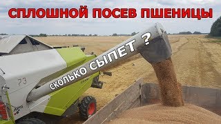Пшеница от посева до уборки! Сплошной посев комплексом Партнер.