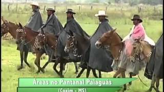 FAZENDA À VENDA NO PANTANAL / MS