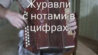 Журавли с нотами в цифрах