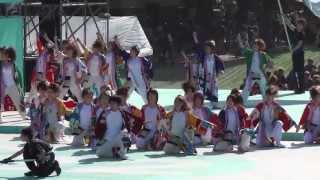 はちのへＹＯＳＡＫＯＩまつりチーム（YOSAKOIソーラン2013）