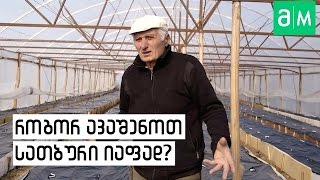 როგორ ავაშენოთ სათბური იაფად?