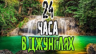 Выживание в диких джунглях. 24 часа на острове в тропическом лесу.