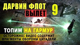 EVE Online Девятый вылет Дарвин Флота в Black Rise + бонус