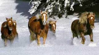 Vysotsky «Кони привередливые» (Capricious horses)