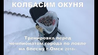 Колбасим Окуня!!! Тренировка перед Чемпионатом города по блесне.