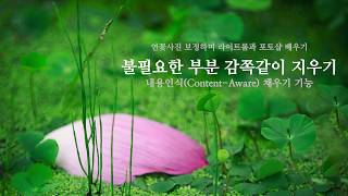#포토샵 #내용인식(Content-Aware) 채우기 - #연꽃사진 보정하며 라이트룸과 포토샵배우기