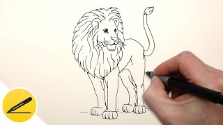 Как Нарисовать Льва поэтапно | Рисуем животных | Поэтапное рисование