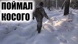 Ходовая охота.Путик.Таежный пикник.сезон 2019
