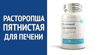 Молочный чертополох (Арго) - витамины для печени, расторопша в таблетках
