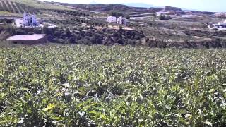 ΟΙΚΟΠΕΔΟ ΠΡΟΣ ΠΩΛΗΣΗ ΑΓΙΟΣ ΡΩΜΑΝΟΣ ΚΑΡΤΕΡΟΣ ΗΡΑΚΛΕΙΟΥ