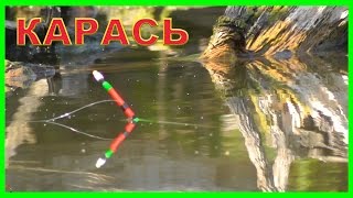 Рыбалка на озере в Адыгее. Ловля карася на поплавок. Поплавочная удочка. FISHING câu cá 钓鱼 рыбалка