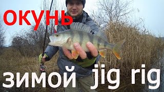 Окунь заедает   джиг риг / Ловля окуня в холодной воде