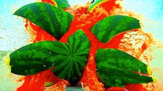 WATERMELON KILLER!!!