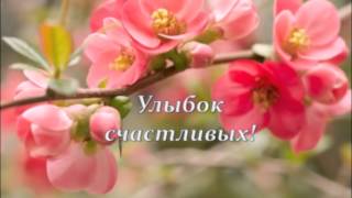 поздравить бухгалтера с днем рождения