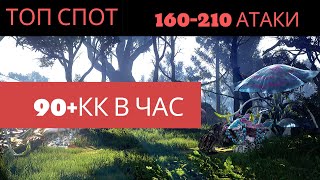 ТОП СПОТ ДЛЯ 160-210 АТАКИ 90+КК В ЧАС  BLACK DESERT