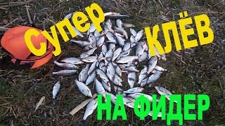 Обалденный клёв! Ловля плотвы на фидер ранней весной