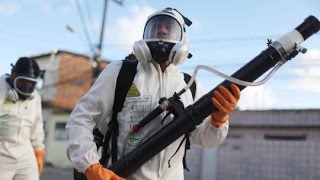 ZIKA-VIRUS -  WHO erklärt globalen Gesundheitsnotstand