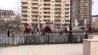 Novruz bayramı, Bakı 2015