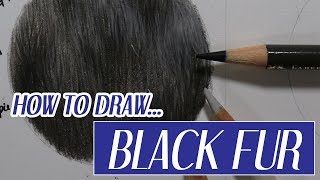 REALISTIC BLACK FUR | Coloured Pencil Tutorial | Advent Day 1 ☃️