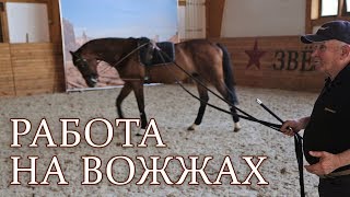 Работа на вожжах