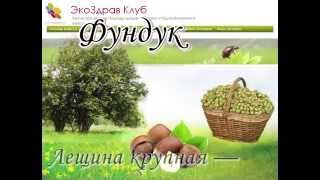 Фундук