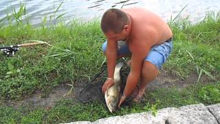 Рыбалка!Амур - Дашкины Пруды 30.06.2013