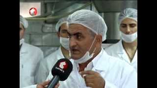 Aloe Vera ve Faydaları, Alerji, Atopik Egzama, Obeziteye Çözüm, Doğal Antibiyotik,Gökçek Fabrikası