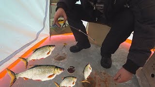 Рыбалка на Оскольском водохранилище.с.Пески место под названием водокачка.