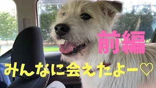 遂に…兄弟犬と感動の再会！！前編