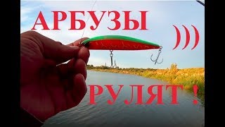 Арбузный Realis от BearKing разловлен за 40 минут ! Шутил-шутил, а кнопка "Турбо-Клёв" сработала.))