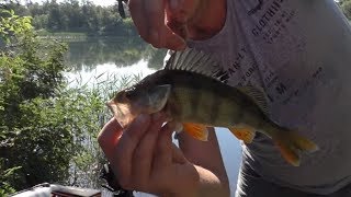 Рыбалка с Ночёвкой на Дону! Ловля на Спиннинг с Лодки. Шашлык Уха. Full HD 2017