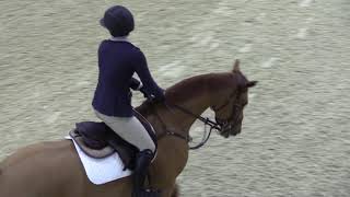 Video of SCOOP ridden by ASHLEY A. MARSHALL from ShowNet!