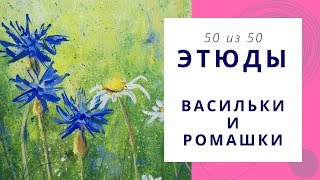 5️⃣0️⃣ ВАСИЛЬКИ и РОМАШКИ (гуашь). Серия «50 этюдов»