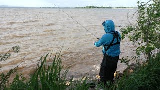 Первый выезд на Волгу за Лещём. Рыбалка на Донку 2019. Лещ, Карась, Голавль, Густера, Плотва