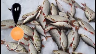 БЕЗМОТЫЛКA! Зимняя рыбалка на малых реках.Рыбалка со льда 2019-2020