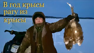 В год крысы рагу из крысы ? ( Приятного аппетита ) Ондатра -Якутия
