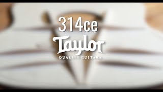 314ce Taylor Guitar Demo