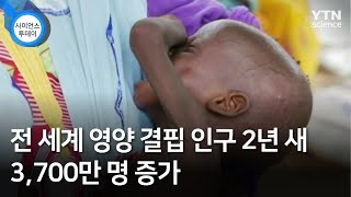 전 세계 영양 결핍 인구 2년 새 3,700만 명 증가 / YTN 사이언스