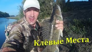 Судак и Щука Выходят на Осенний Жор! Рыбалка в Сибире Тайга.