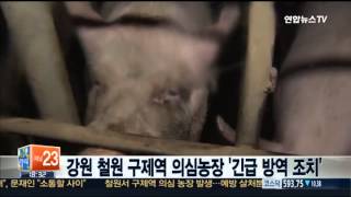 강원 철원 구제역 의심농장 '긴급 방역 조치'