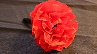 Cómo hacer una flor con papel crepé | facilisimo.com