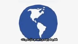 المبدأ الاول : حياتك لا تمثل الحياة الحقيقة !